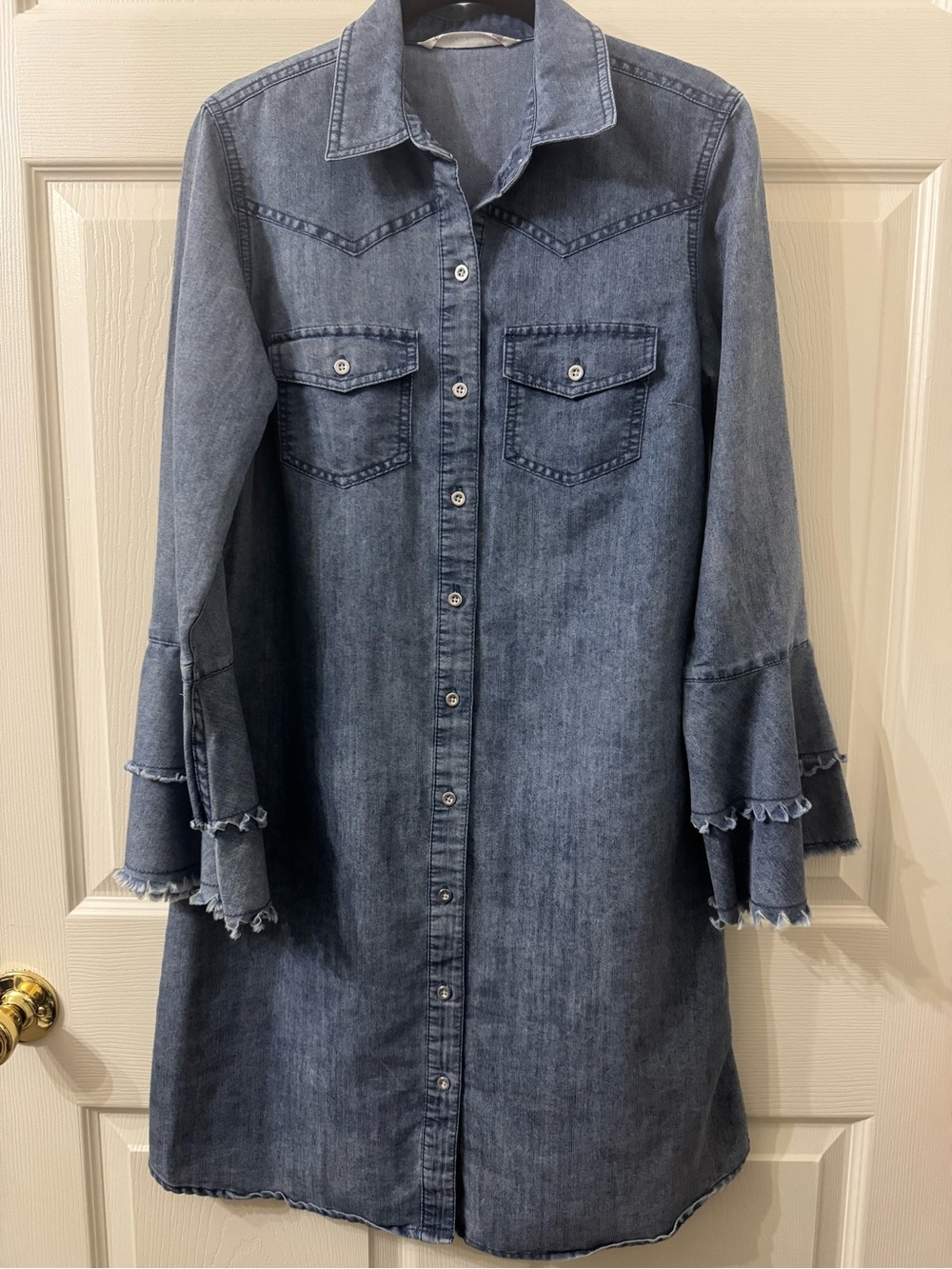 Denim Button-Front Dress with Ruffle Bell Sleeves - Blue